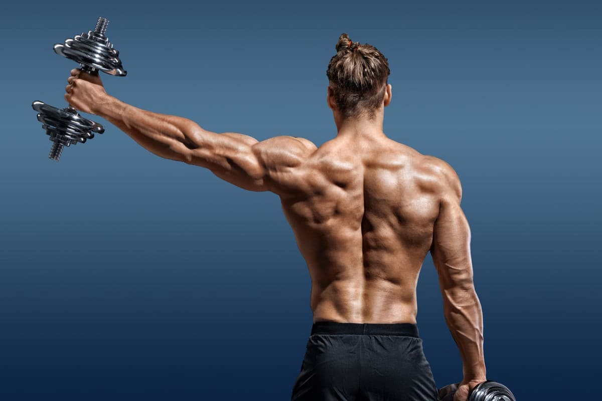 ������������ ���������: ����.