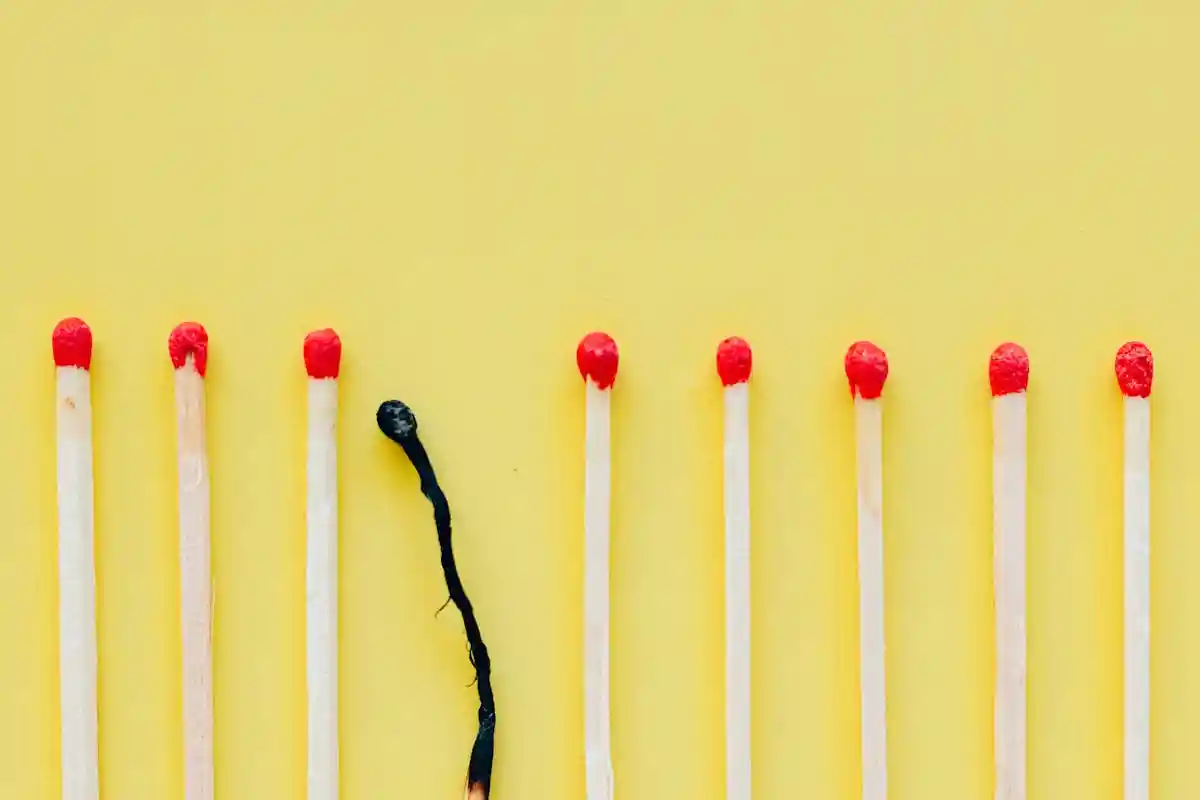 Фото: pexels.com