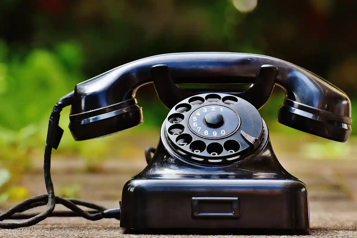 Фото: Pixabay / pexels.com