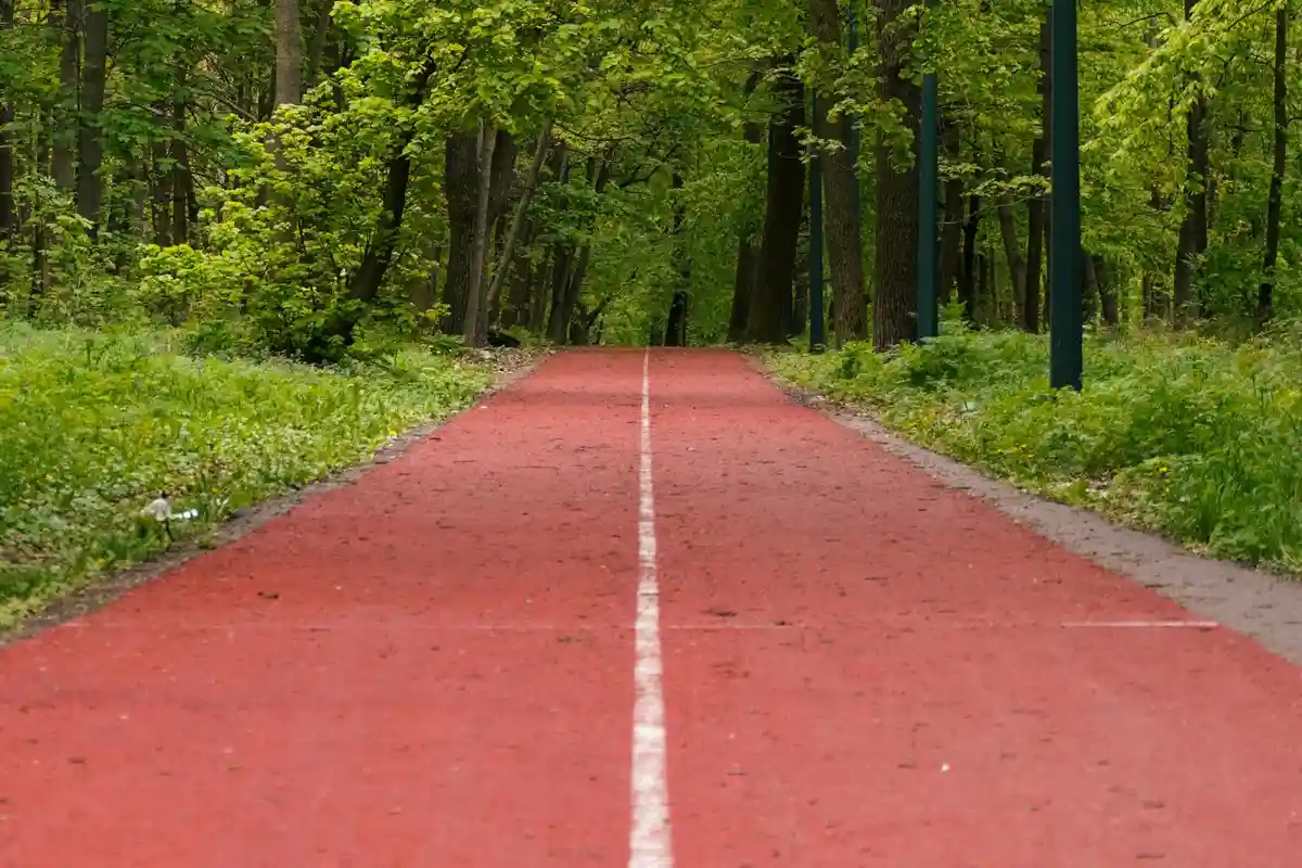 Фото: pexels.com