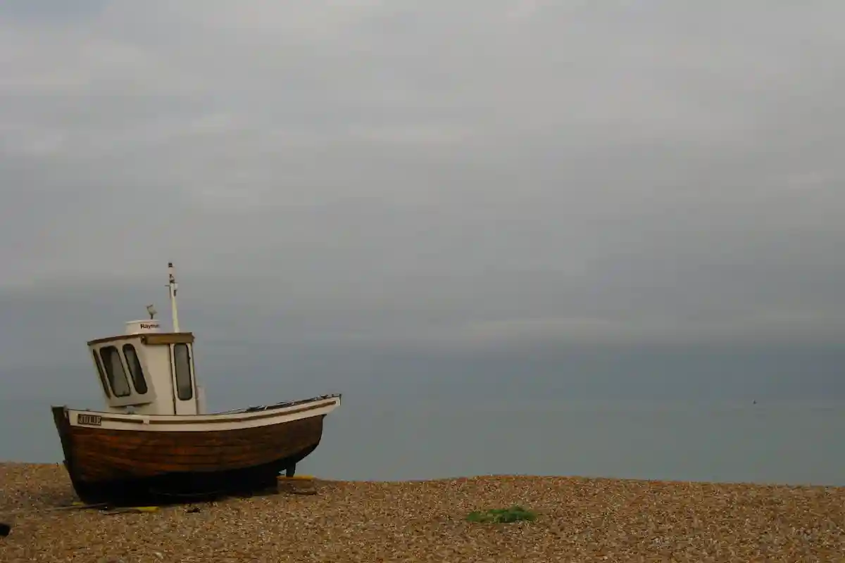 Фото: Peter B / Pexels.com