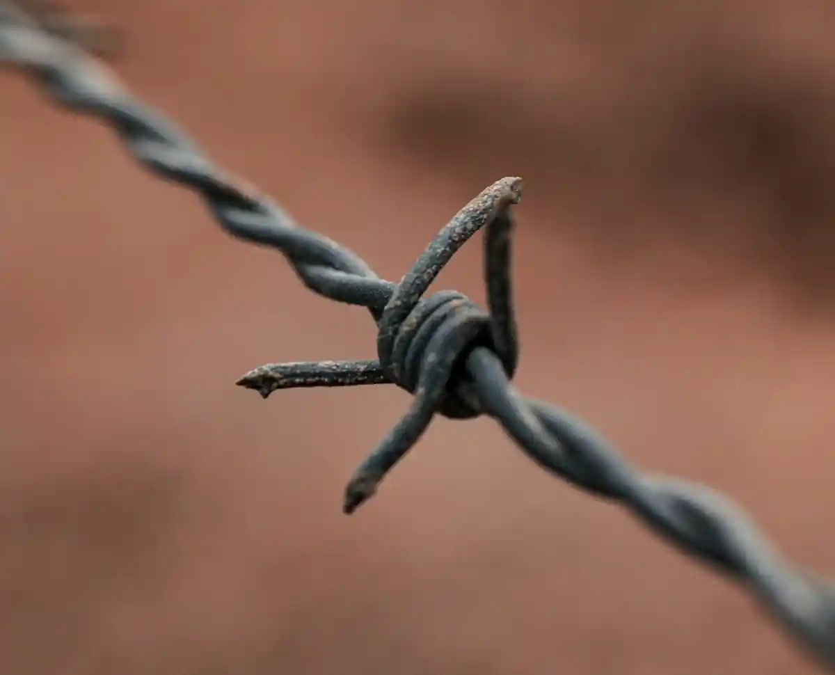 Фото: pexels.com