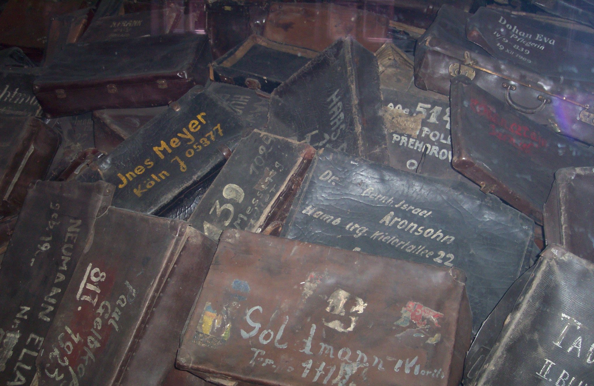 Діти не вивчають історію Голокосту – чому це небезпечно