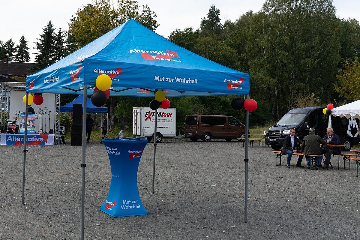 Рейтинг партій Німеччини: захід AfD. Фото: PantheraLeo1359531/wikimedia