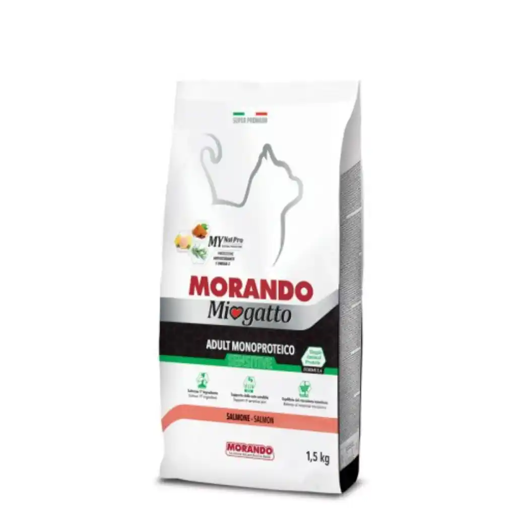 Miogatto
